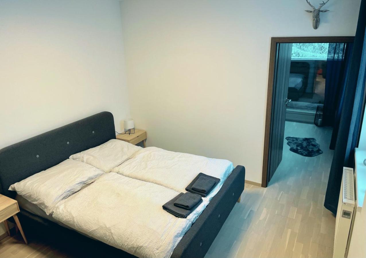 Apartment I13 Horni Misecky
